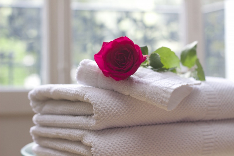 hotel-ST CEZAIRE SUR SIAGNE-min_towel_rose_clean_care_salon_spa_white_bath-731641